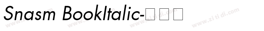 Snasm BookItalic字体转换